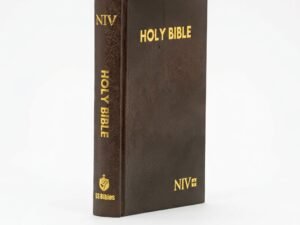 Studio photo of NIV Medium Brown in hero