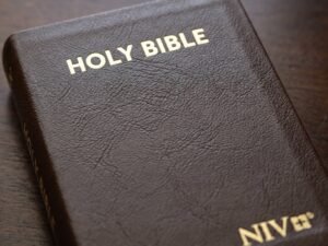 Studio photo of NIV Holy Bible Compact, British Tan in detail