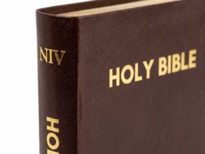 Studio photo of NIV Holy Bible Compact, Burgundy in detail
