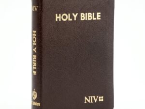 Studio photo of NIV Holy Bible Compact Gold Edge Burgundy in hero