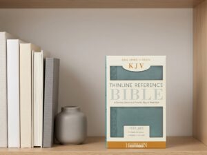 Studio photo of KJV Thinline Reference Bible (Flexisoft, Aquamarine, Red Letter) in context