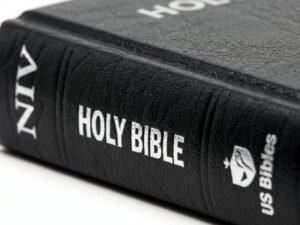 Studio photo of NIV Medium Black in detail